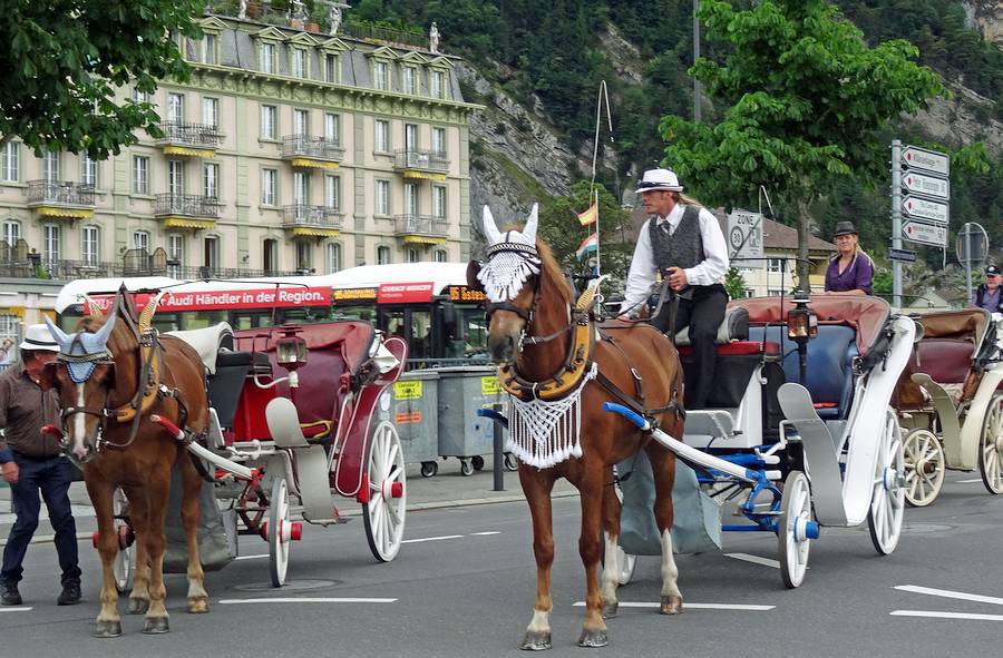 und besteigen die weltbekannten Pferdekutschen
