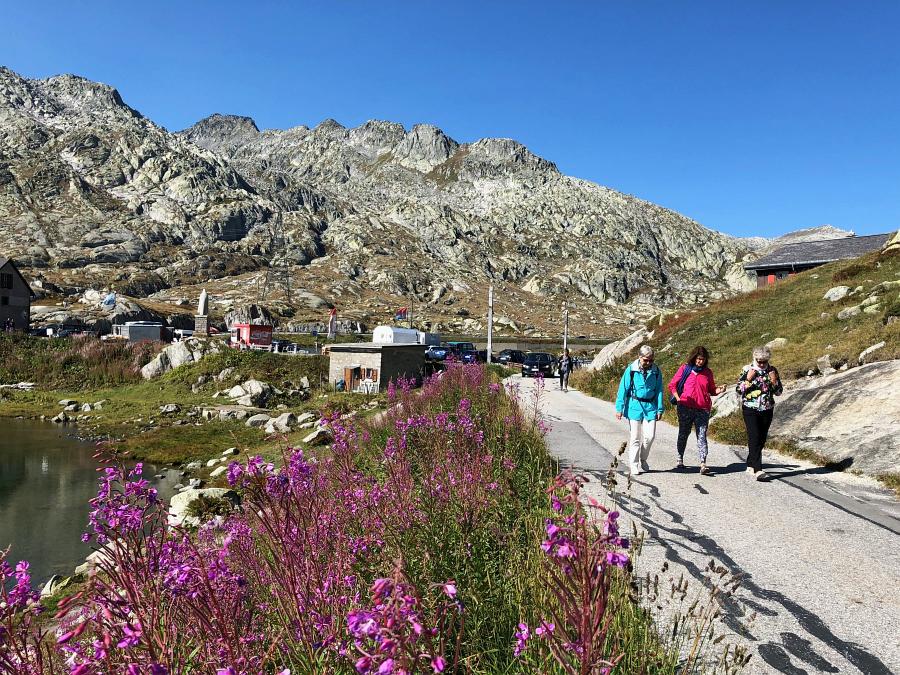 Wenige Meter von der Strasse weg ist man bereits in blühender Natur